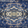 Thumbnail for the Conscious Pilot - Aidan's Song link, provided by host site