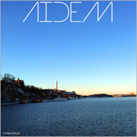 Thumbnail for the Felix Ayerza - Aidem link, provided by host site