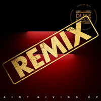 Thumbnail for the Duke Dumont - Ain’t Giving Up (Paul Woolford’s Special Request Remix) link, provided by host site