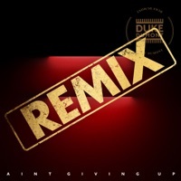 Thumbnail for the Duke Dumont - Ain’t Giving Up (Paul Woolford’s Special Request Remix) link, provided by host site