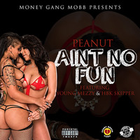 Thumbnail for the Peanut - Ain't No Fun link, provided by host site