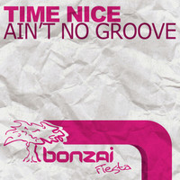 Thumbnail for the Tim Nice - Ain't No Groove link, provided by host site