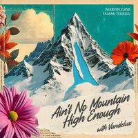 Thumbnail for the Marvin Gaye - Ain't No Mountain High Enough (with Vandelux) link, provided by host site