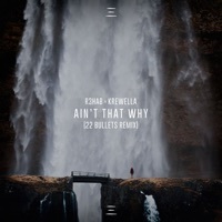 Thumbnail for the R3hab - Ain't That Why (22 Bullets Remix) link, provided by host site