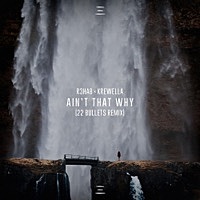Thumbnail for the R3hab - Ain't That Why (22 Bullets Remix) link, provided by host site
