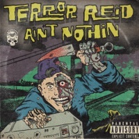 Thumbnail for the Terror Reid - Aint Nothin link, provided by host site