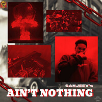 Thumbnail for the Sanjeev - Aint Nothing link, provided by host site