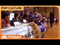 Thumbnail for the Air - ‘Air Bud’ Movie Launches Nationwide Search for Next Star link, provided by host site