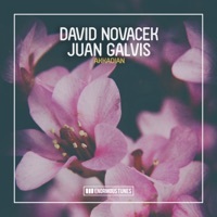 Thumbnail for the David Novacek - Akkadian link, provided by host site