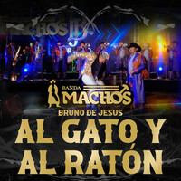 Thumbnail for the Banda Machos - Al Gato Y Al Ratón link, provided by host site