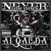 Thumbnail for the Never - Al Qaeda link, provided by host site
