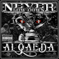 Thumbnail for the Never - Al Qaeda link, provided by host site