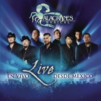 Thumbnail for the Alacranes Musical - Alacranes Musical Live - en Vivo Desde México link, provided by host site