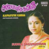 Thumbnail for the Sudha Ragunathan - Alaipaayuthe Kannaa link, provided by host site