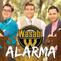 Thumbnail for the Wasabi - Alarma link, provided by host site