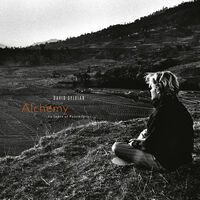 Thumbnail for the David Sylvian - Alchemy: An Index Of Possibilities (Remastered 2003) link, provided by host site