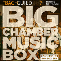 Thumbnail for the Alexander Borodin - Alexander Borodin: String Quartet No.2 in D Major: II. Scherzo: Allegro link, provided by host site