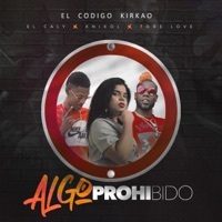 Thumbnail for the El Codigo Kirkao - Algo Prohibido link, provided by host site