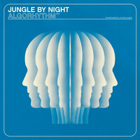 Thumbnail for the Jungle By Night - Algorhythm link, provided by host site