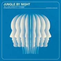Thumbnail for the Jungle By Night - Algorhythm link, provided by host site
