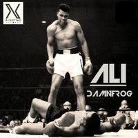 Thumbnail for the DamnFrog - Ali link, provided by host site