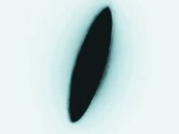 Thumbnail for the Jay Som - alien#7 link, provided by host site