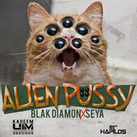 Thumbnail for the Blak Diamon - Alien Pussy link, provided by host site