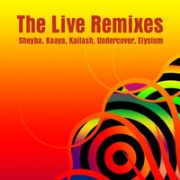 Thumbnail for the Elysium - Aliens - Live Remix link, provided by host site
