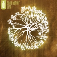 Thumbnail for the Andy Hunter - Alive link, provided by host site