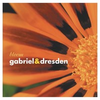 Image of Josh Gabriel linking to their artist page due to link from them being at the top of the main table on this page