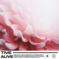 Thumbnail for the Tive - Alive link, provided by host site