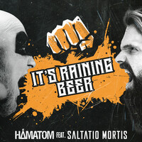 Thumbnail for the Saltatio Mortis - Alive now link, provided by host site