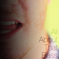 Thumbnail for the David Fowler - All About That Bass link, provided by host site