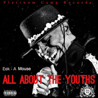 Thumbnail for the Eek-A-Mouse - All About The Youths link, provided by host site