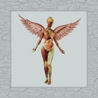 Thumbnail for the Nirvana - All Apologies (Live In Los Angeles, Great Western Forum - December 30, 1993) link, provided by host site