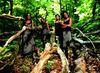 Thumbnail for the Allure - All Cried Out link, provided by host site