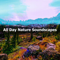 Thumbnail for the Nature Sounds & Backgrounds - All Day Nature Soundscapes link, provided by host site