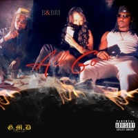 Thumbnail for the Bri - All Go link, provided by host site