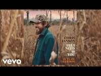 Thumbnail for the Chris Janson - All I Need Is You (Outlaw Version / Static Version) link, provided by host site