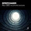 Thumbnail for the Spiritchaser - All I See link, provided by host site