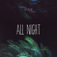 Thumbnail for the Dixie - All Night link, provided by host site