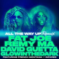 Thumbnail for the Fat Joe - All The Way Up (Remix) link, provided by host site