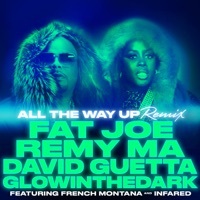 Thumbnail for the Fat Joe - All the Way Up (Remix) link, provided by host site