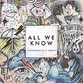 Thumbnail for the Synchronice - All We Know (Acoustic) link, provided by host site