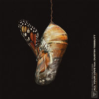 Thumbnail for the Flight Facilities - All Your Love [The Remixes] link, provided by host site
