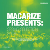 Thumbnail for the Jallen - Allegro - Progressive Mix link, provided by host site