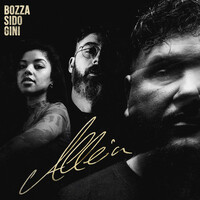 Thumbnail for the Bozza - Allein link, provided by host site