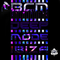 Thumbnail for the Invincible Quest - Allele Frequency - Original Mix link, provided by host site