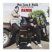 Thumbnail for the Sub Zero - Alles für die Jungs (Remix) link, provided by host site