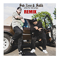 Thumbnail for the Sub Zero - Alles für die Jungs (Remix) link, provided by host site